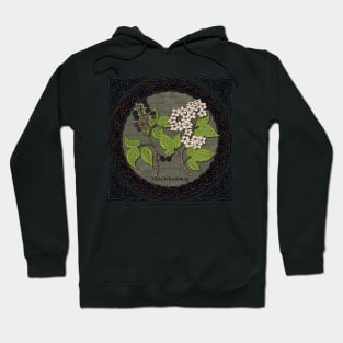 Celtic Blackberry Hoodie